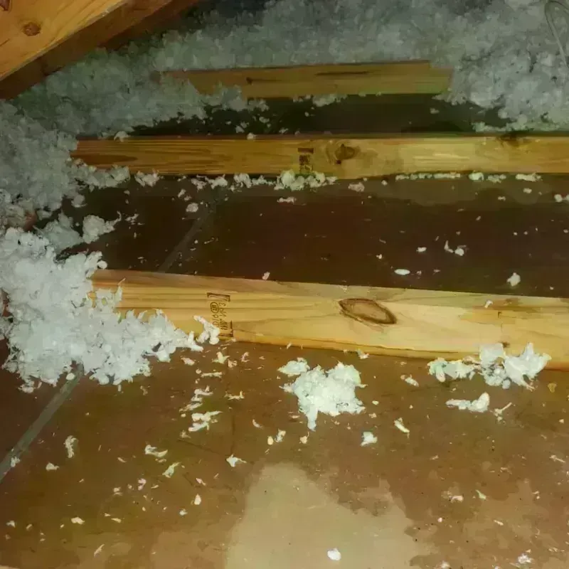 Attic Water Damage in Cache, OK