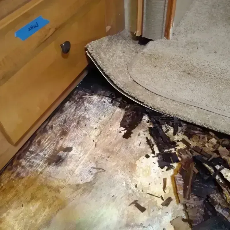 Wood Floor Water Damage in Cache, OK